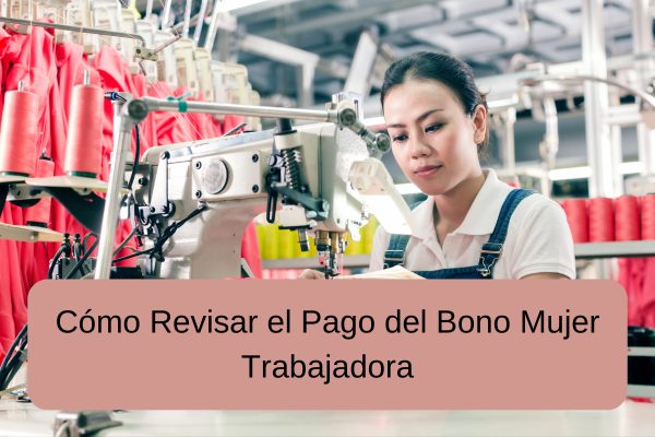 Cómo Revisar el Pago del Bono Mujer Trabajadora