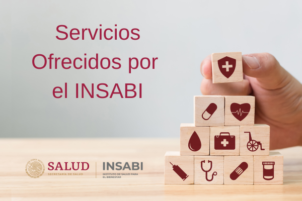 Servicios Ofrecidos por el INSABI: Una Guía Completa